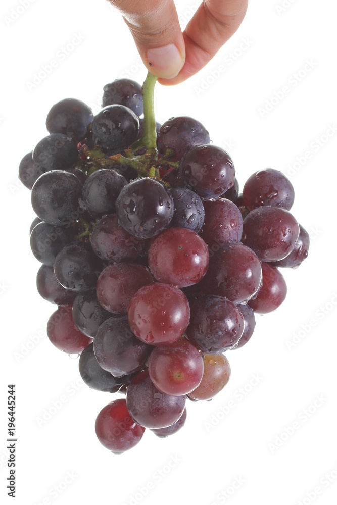 Fototapeta premium Red grape isolated on white background
