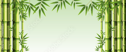 Fototapeta Naklejka Na Ścianę i Meble -  Background template with green bamboo