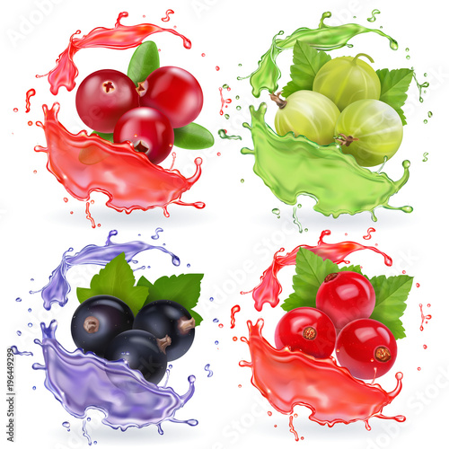 Realistic berries in juices splash set. Gooseberry black currant cranberry and red currant collection