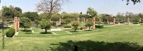 Beautiful flowers garden landscape 