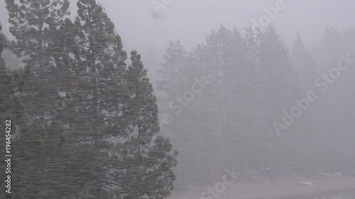 A blinding snowstorm strikes in the Sierra Nevada mountains.