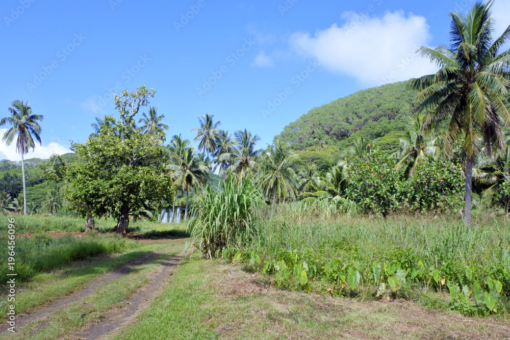 Obraz premium Rarotonga mountain view cook islands