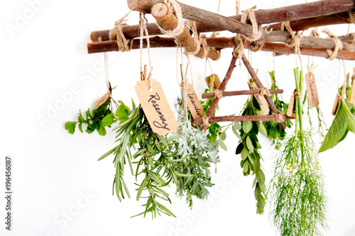Fresh Herbs hanging on Branch Herb Dryer with Air symbol