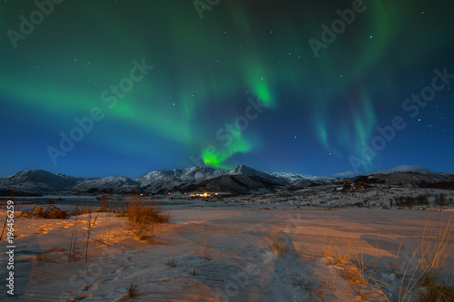 Aurora Borealis lofoten norway © bina01