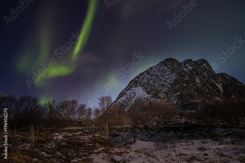 Aurora Borealis lofoten norway