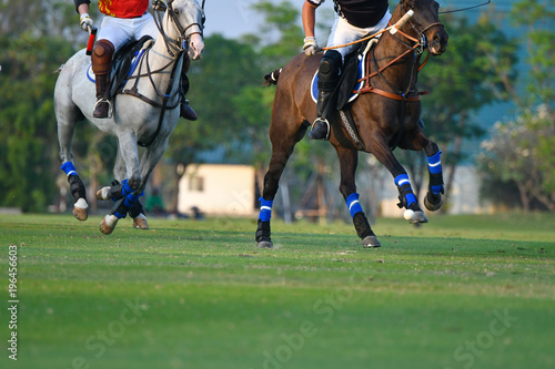 Horse polo are competing in the polo field.