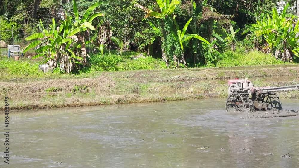 The tractor is working in the rice fields. The tractor is working in the rice fields.