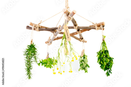 Kitchen - Herbal Witch Branch Pentagram Herb Dryer with witches besom and fresh herbs