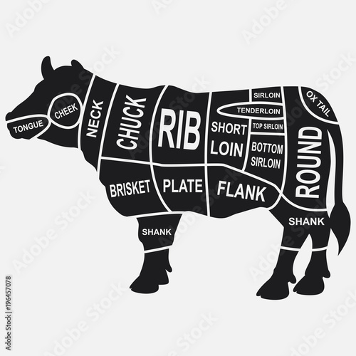 Farm animals set. Isolated cow silhouette and words Cow, Farm. 