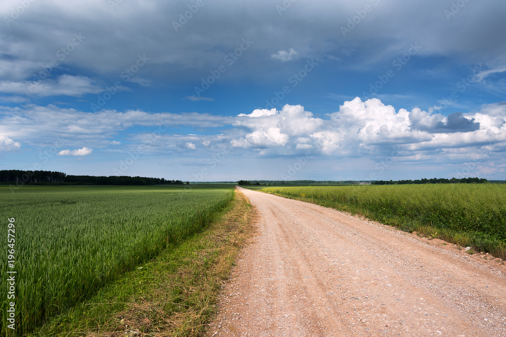 Rural road in countryside, Latvia.