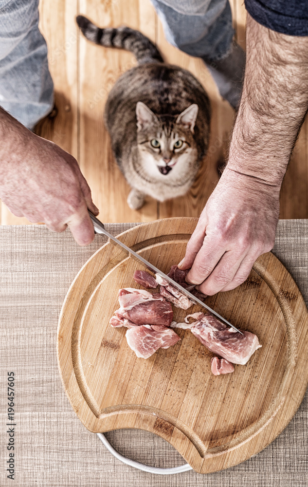 Cat waiting eating piece of meat from the kitchen table