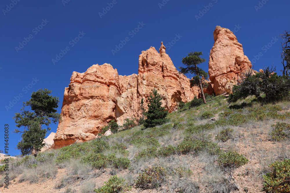 Fototapeta premium Rock Hoodoos in Bryce Canyon National Park in Utah. USA
