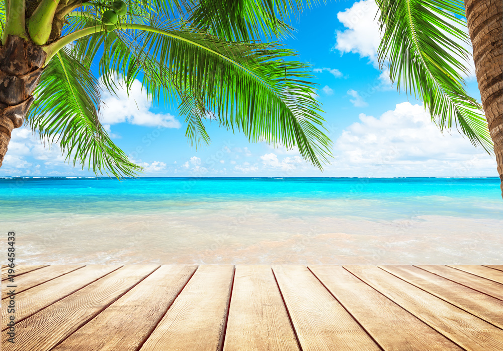 Coconut palm trees and blue sky and sea