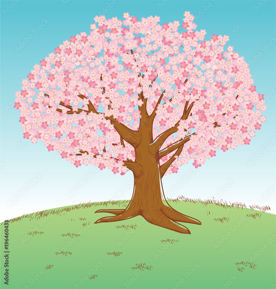 手描き風イラスト 満開の桜の木 ソメイヨシノ 春のイメージのイラスト Stock ベクター Adobe Stock
