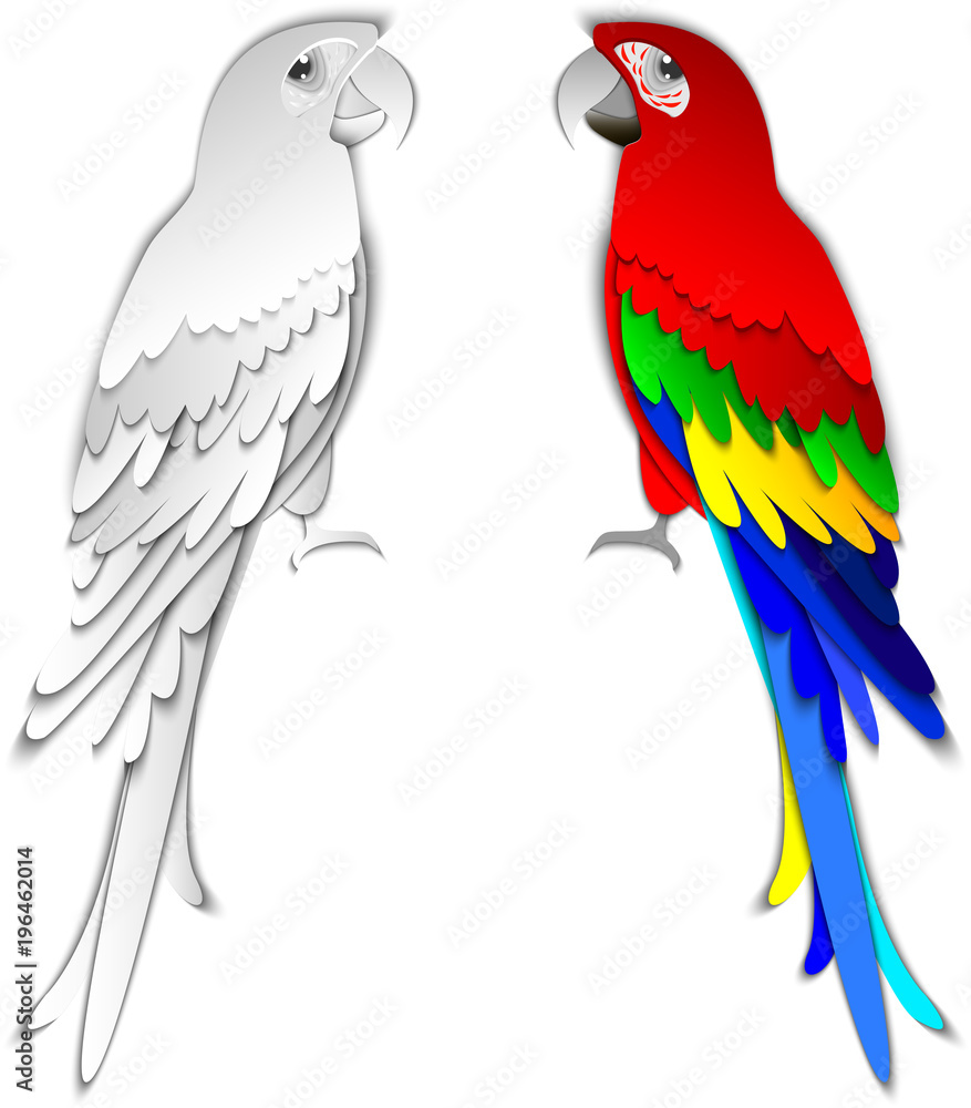 Obraz premium Collection of tropical parrots. Vector design isolated elements. Paper cut out style.