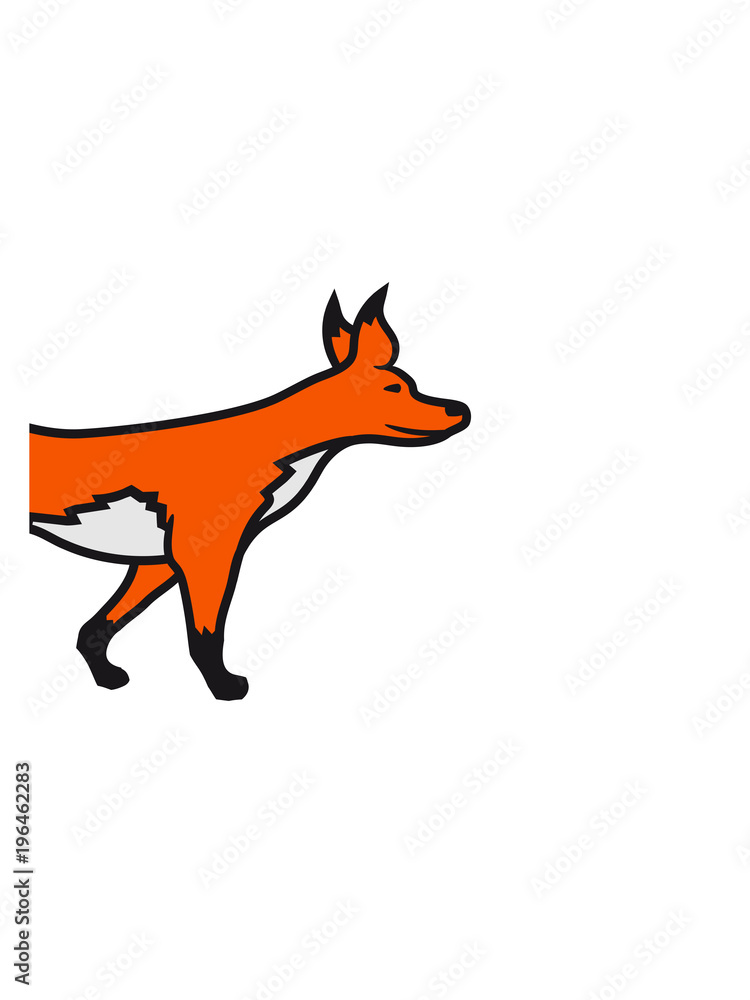 Fototapeta premium halb vorne vorderteil fuchs schön design cool comic cartoon clipart logo tier wald