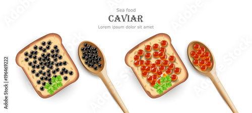 Caviar Vector realistic. Red and black caviar toasts. Top view 3d detailed illustrations