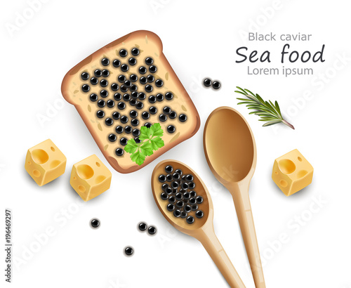Black Caviar toast Vector realistic. Top view 3d detailed illustrations