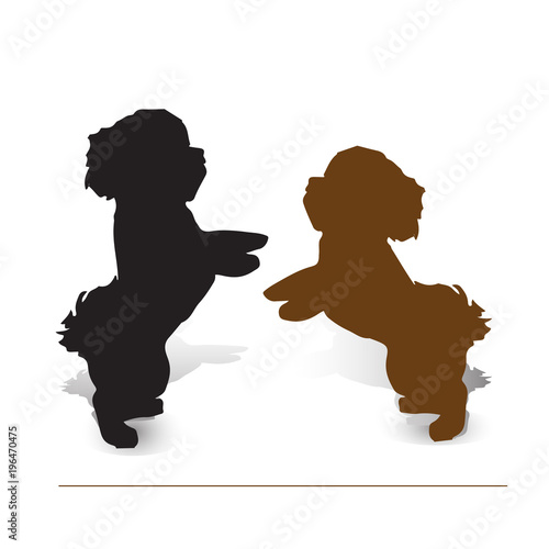 Circus dog. Two puppies poodle on two legs, silhouette on white background,
