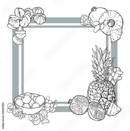 Gray squared frame with fruits in line art hand drawn style, pineapple, tangerine, garnet or pomegranate, grape, vector illustration isolated on white background