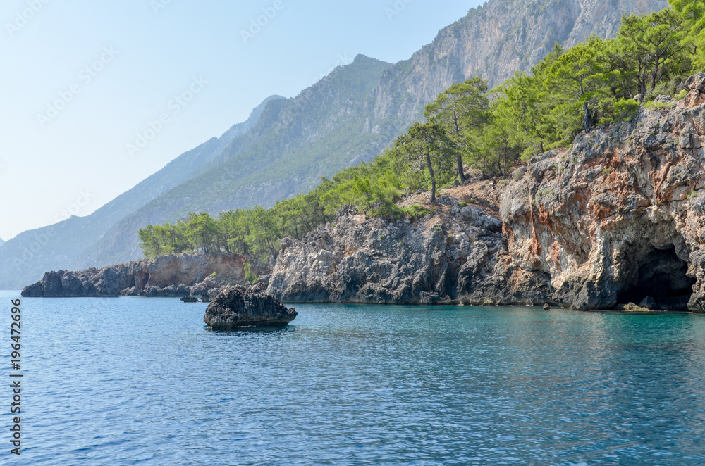 rocks and pine forest on the cliffs of Turkish Mediterranean coast Cirali, Antalya province, Turkey