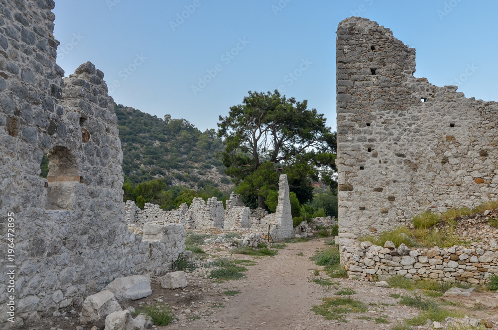 ruins of ancient Lycian town of Olympos  near Cirali Kumluca region, Antalya province, Turkey