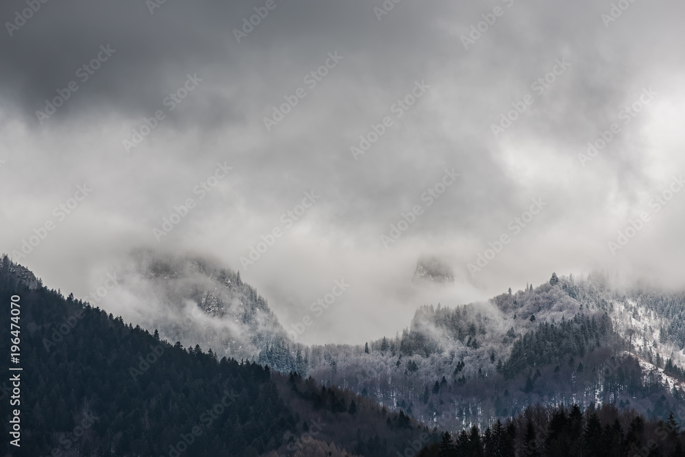 A view of the misted mountains, heavy clouds from above. Firs in frost. Misty mystical forest on hilly mountains.
A view of the misted mountains, heavy clouds from above. Firs in frost. Misty mystical forest on hilly mountains.