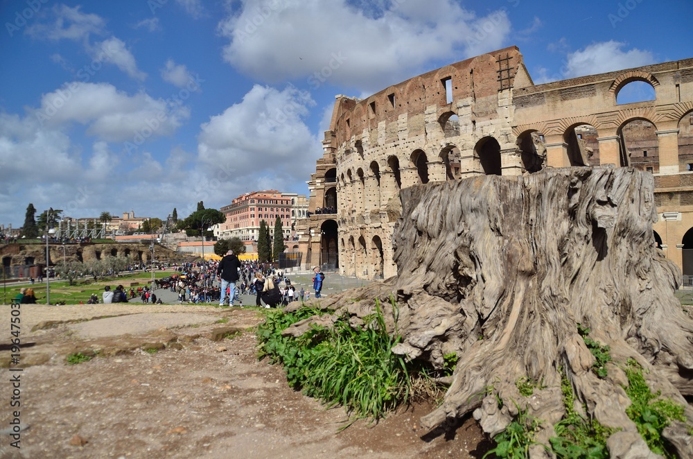 View of The Colosseum from Rome
