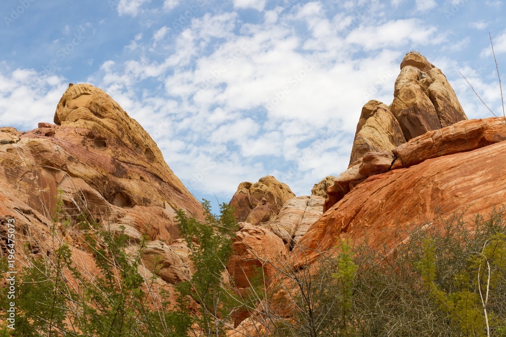 Fototapeta premium Valley of Fire 57