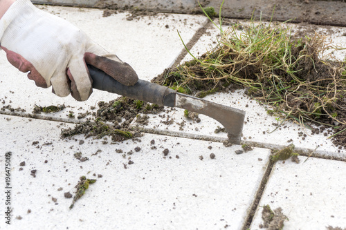 Unkraut zwischen Steinplatten - Gartenarbeit