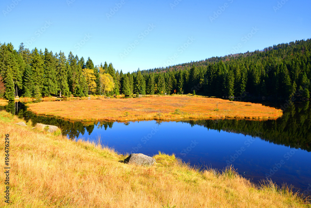 Moraine lake Kleiner Arbersee in National park Bavarian forest. Autumn landscape in Germany.