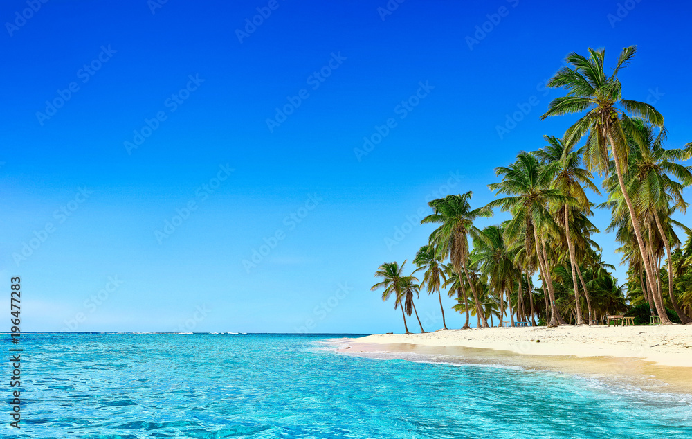 Fototapeta Rajska plaża. Tropikalny raj, biały piasek, plaża, palmy i czysta woda