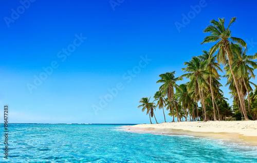 Fototapeta Naklejka Na Ścianę i Meble -  Paradise beach. Tropical paradise, white sand, beach, palm trees and clear water