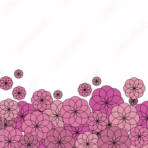 several pink flowers on white background photo