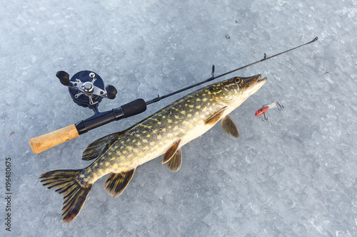 Ice fishing. Winter fishing