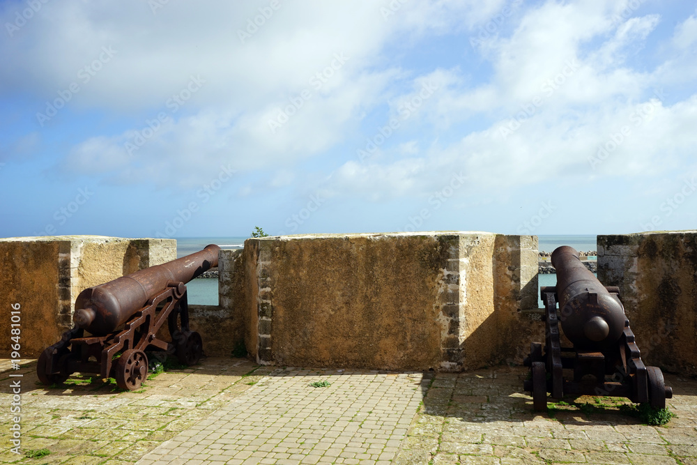 Obraz premium Two rusty guns