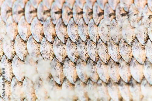 Ice fishing. Winter fishing