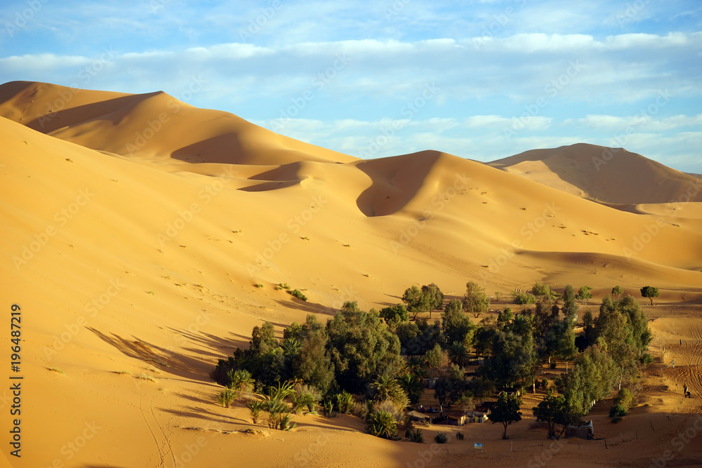 Oasis and dune