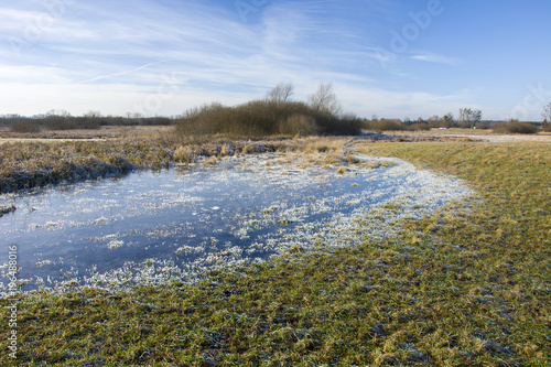 Fototapeta Naklejka Na Ścianę i Meble -  Frozen water on a wild meadow, hoarfrost and blue sky