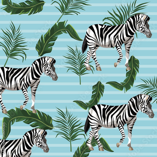 Zebra and leaves background vector illustration graphic design
