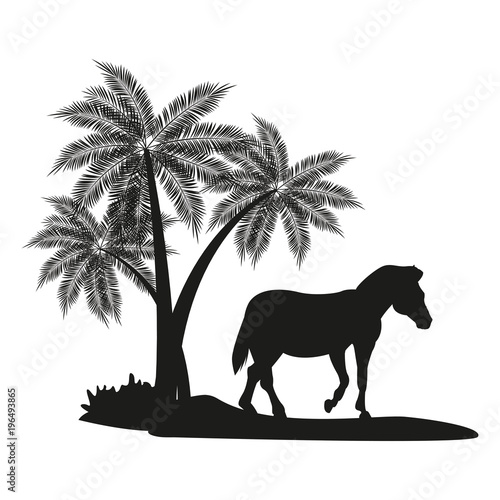Zebra and trees black silhouette vector illustration graphic design