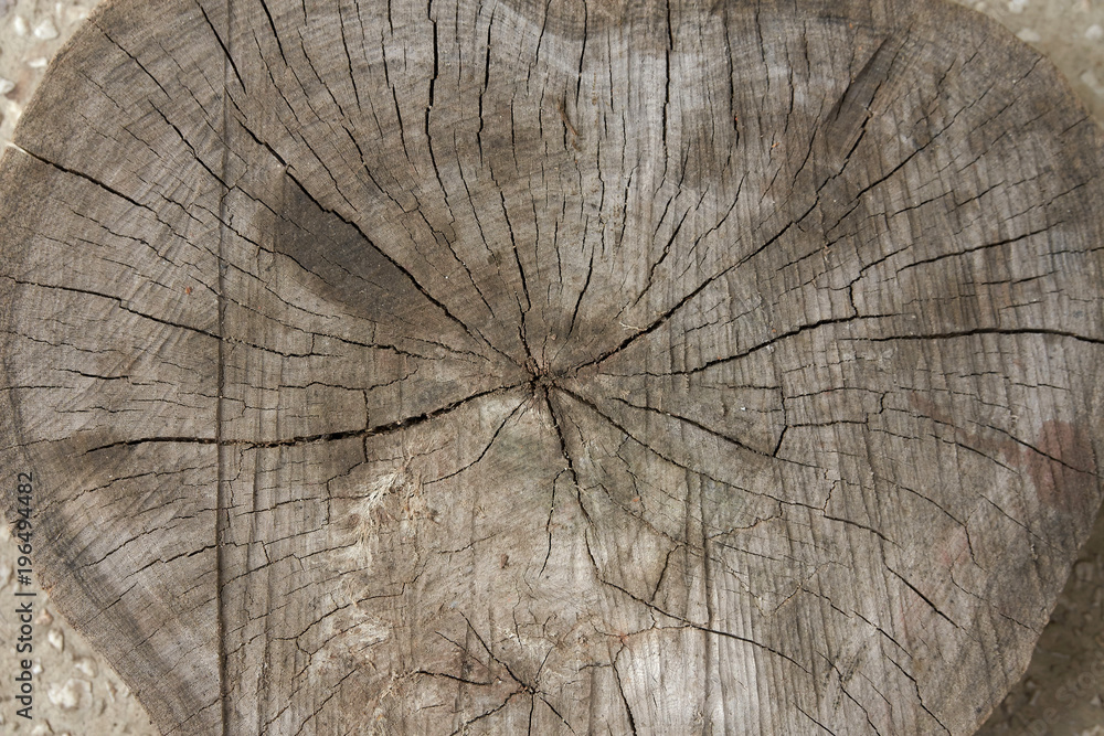 Fototapeta premium destrukt, fotografia drewna, foto, struktury drewnianej, vintage, stare drewno, grafika, designe drewno, stara chata, słoje drzewa słoma, dom retro, strzecha, sielsko, skansen