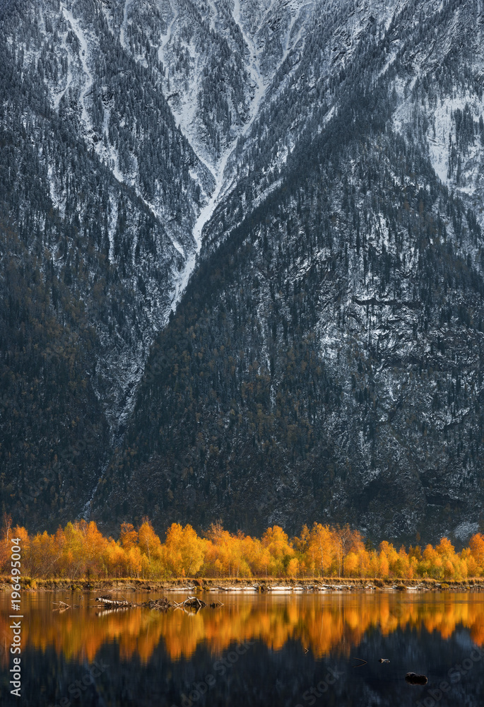 Golden Reflection Of Autumn Beerch Trees In Blue Water At Sunset. Landscape With Autumn Trees And Snow-Covered Rocky Mountains. Yellow Autumn Trees Against The Background Of The Cliff.Vertical Shot