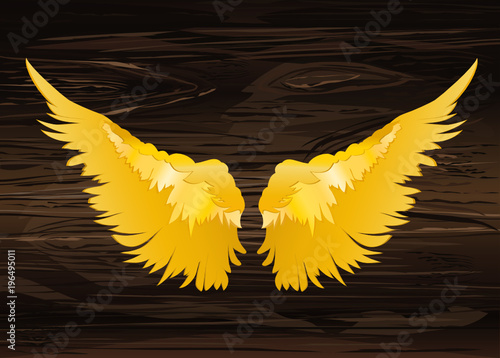 Wings. Vector illustration on wooden background. Golden color