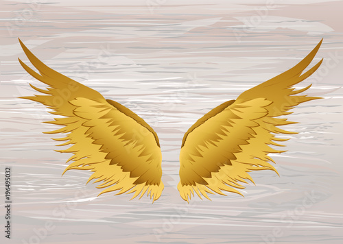 Wings. Vector illustration on wooden background. Golden color