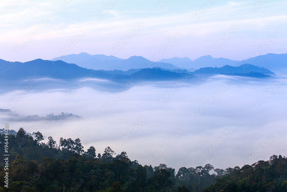 morning fog in dense tropical rainforest, kaeng krachan, thailand