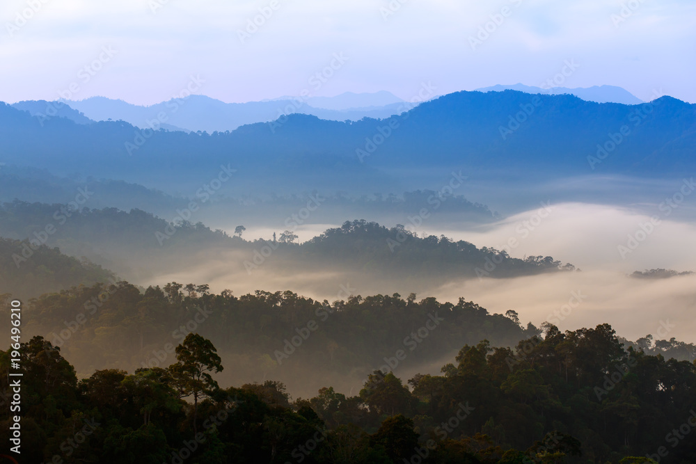 Obraz premium poranna mgła w gęstym tropikalnym lesie deszczowym, kaeng krachan, tajlandia
