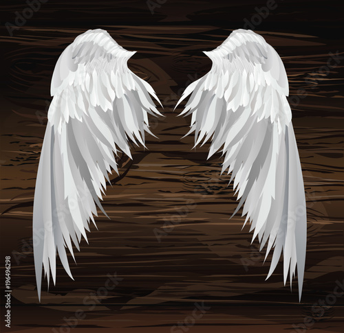 Wings. Vector illustration on wooden background. Black and white