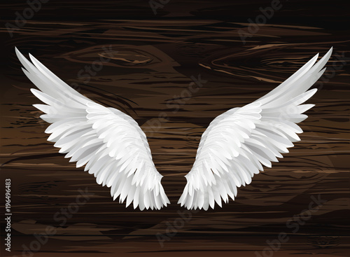 Wings. Vector illustration on wooden background. Black and white