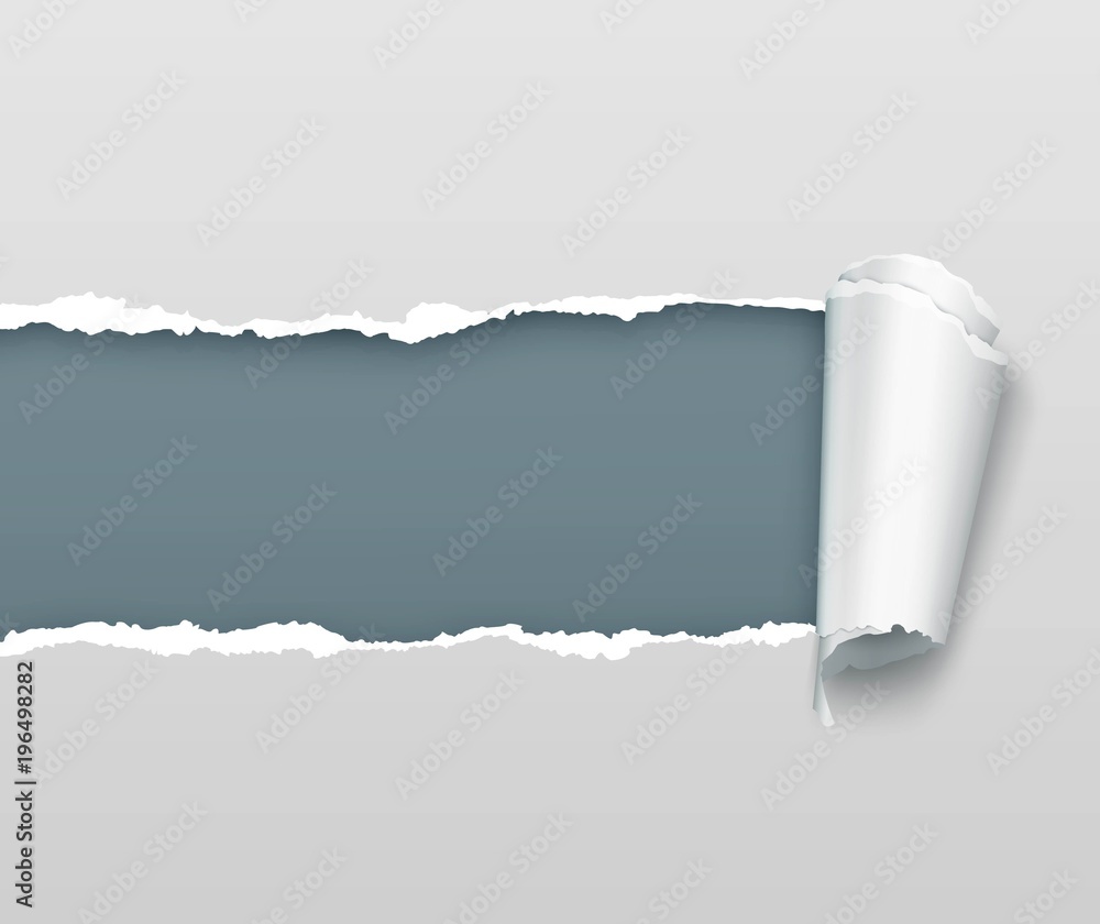 Vector realistic torn and twisted paper strip on light gray background